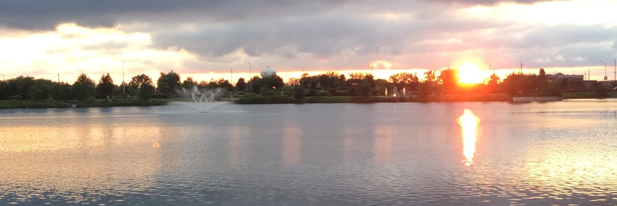 feejo's profile banner image