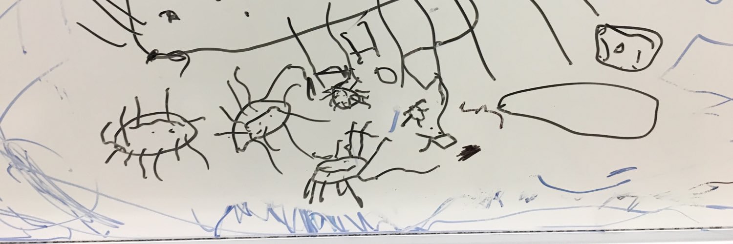 MrsJankiewicz's profile banner image