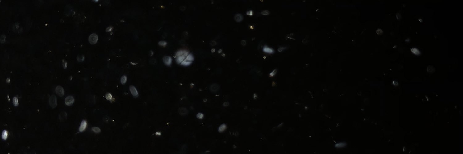 noahjocon's profile banner image