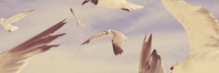 andrea_weasley's profile banner image