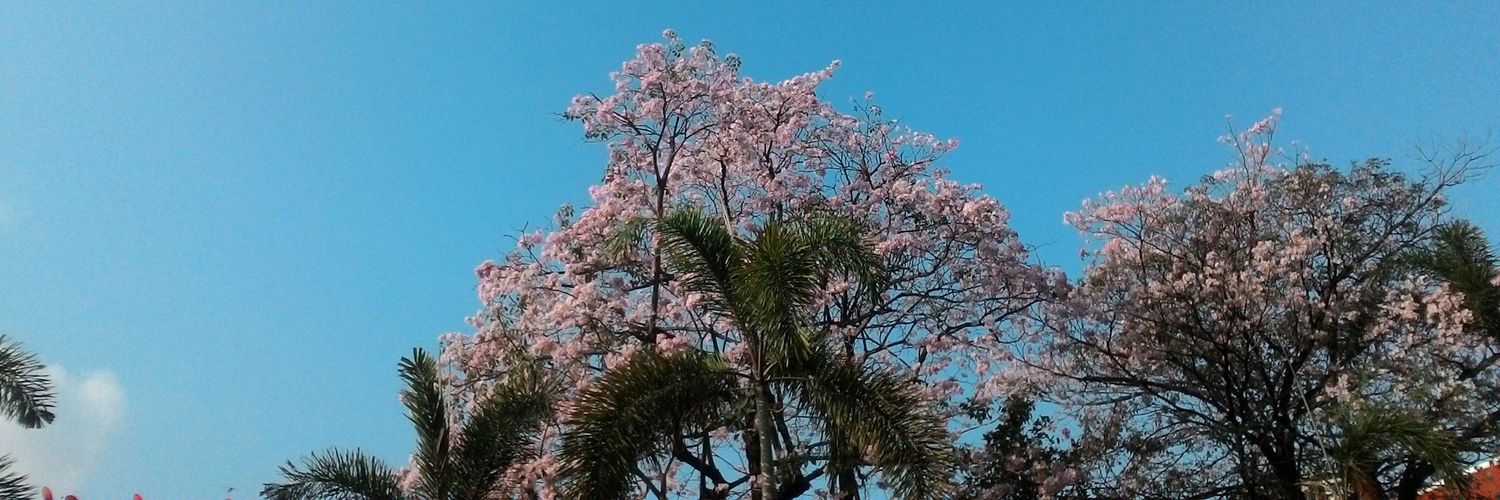 Kioku666's profile banner image