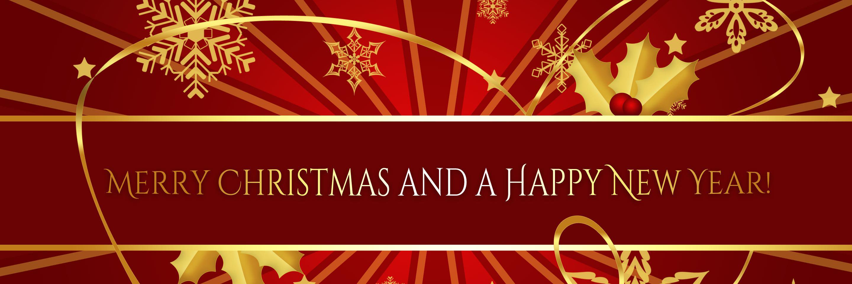 MY BIRMINGHAM 205 banner