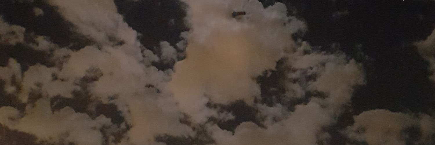 Ally_patel_'s profile banner image