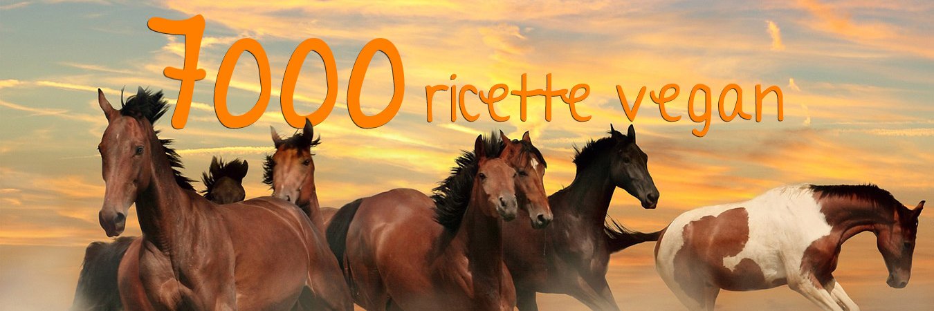 veganly_it's profile banner image