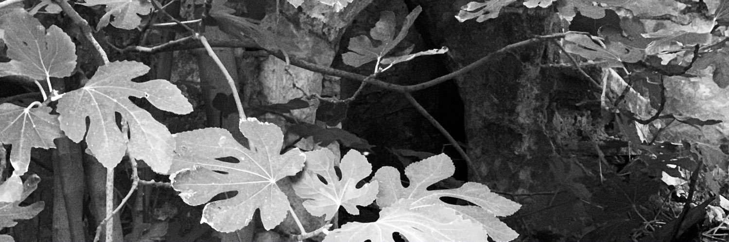 HighYellowMoon's profile banner image