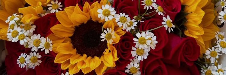 _JadeKing's profile banner image