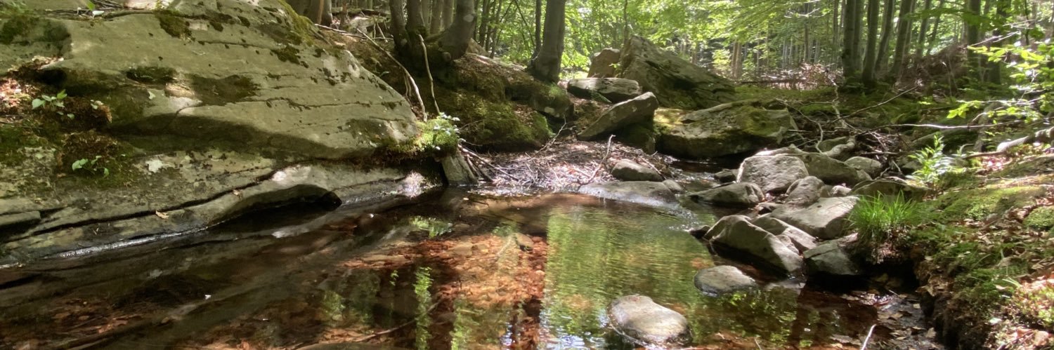 Matteo Bocchi banner