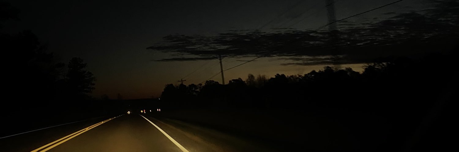 HannahLeshaee's profile banner image