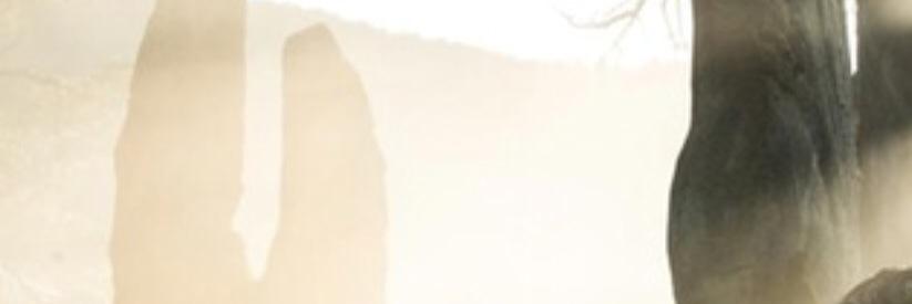OutlanderFinns's profile banner image