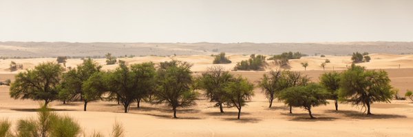 Rob Overy Profile Banner