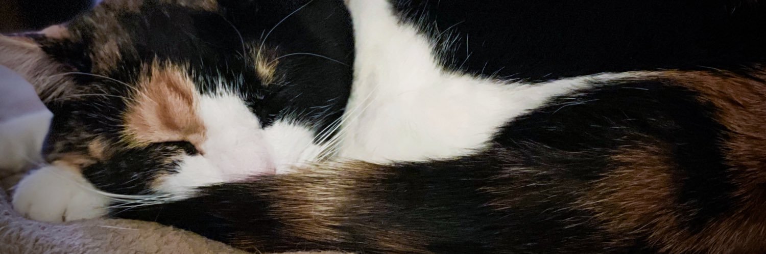 Schrody_Cat's profile banner image
