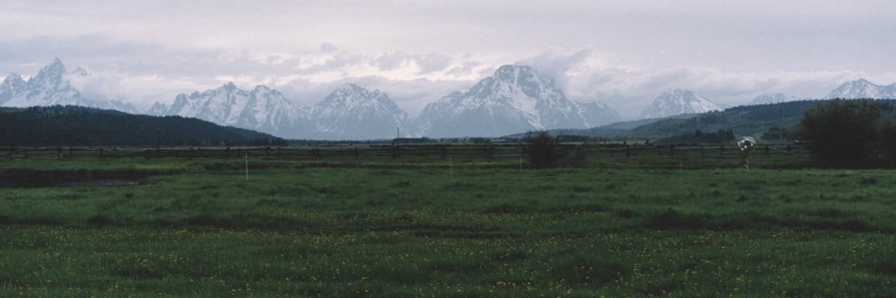 lefeiosa's profile banner image