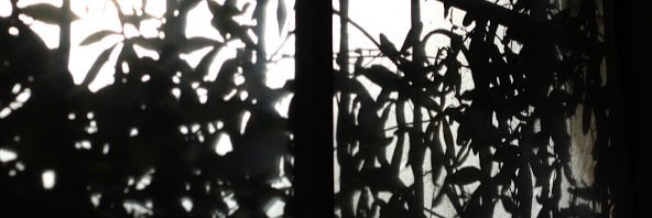 eccunionjo's profile banner image