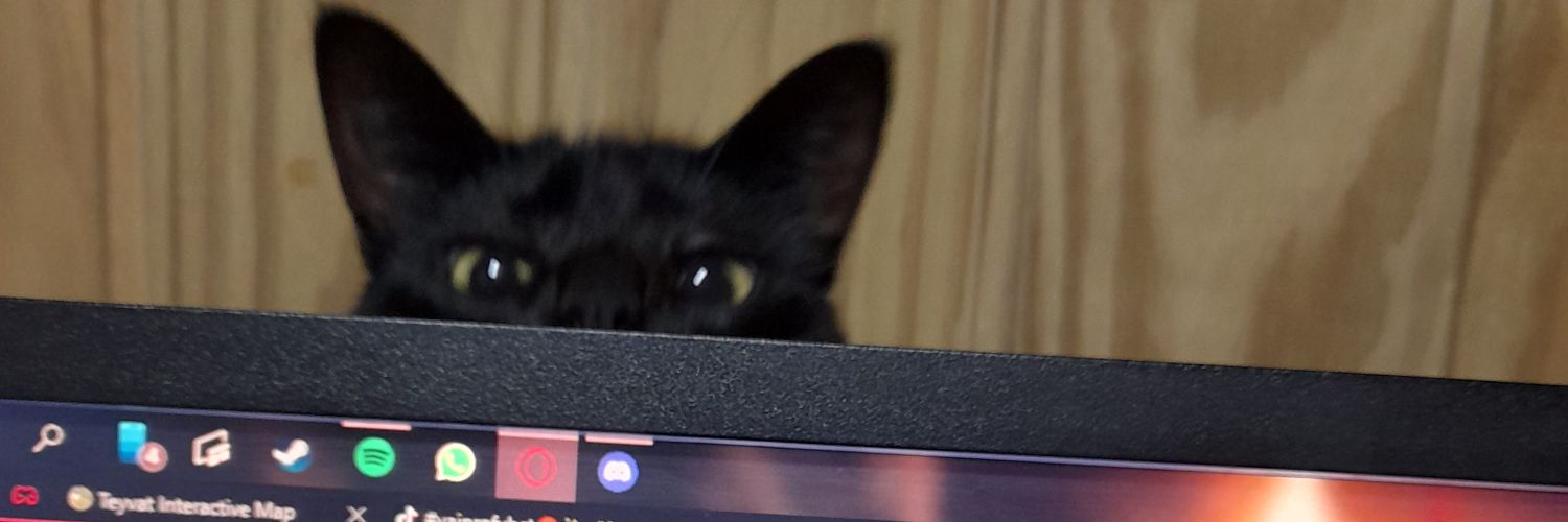 SyllArtemis_'s profile banner image