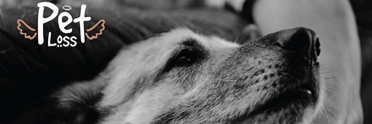 petlossco's profile banner image