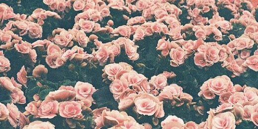 literallytxylor's profile banner image