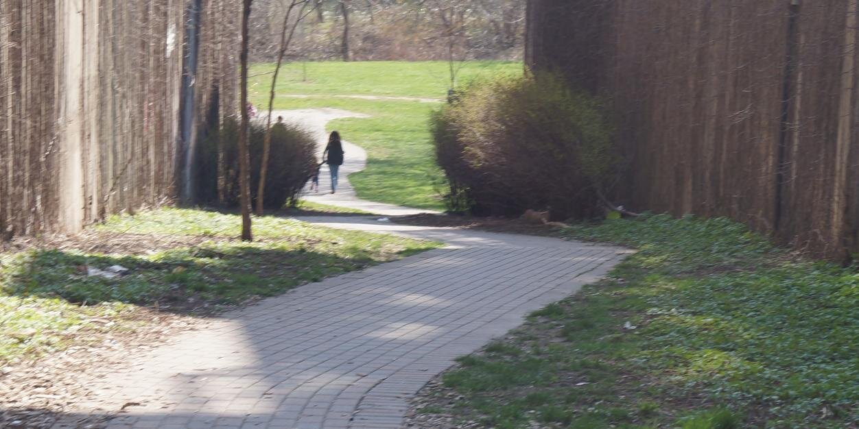 Rajeevan Selvaratnam 🇨🇦 banner