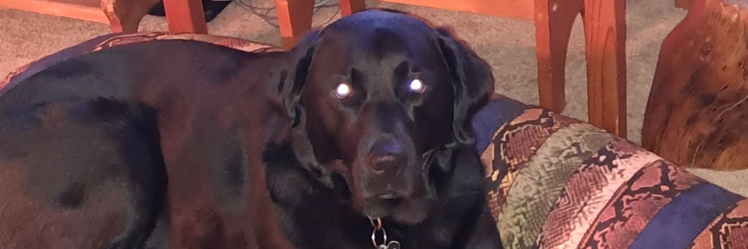 DavyMacG's profile banner image