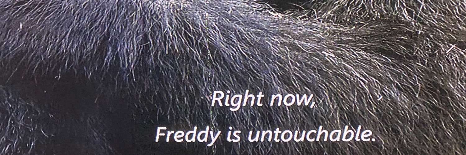 gomuckurself's profile banner image