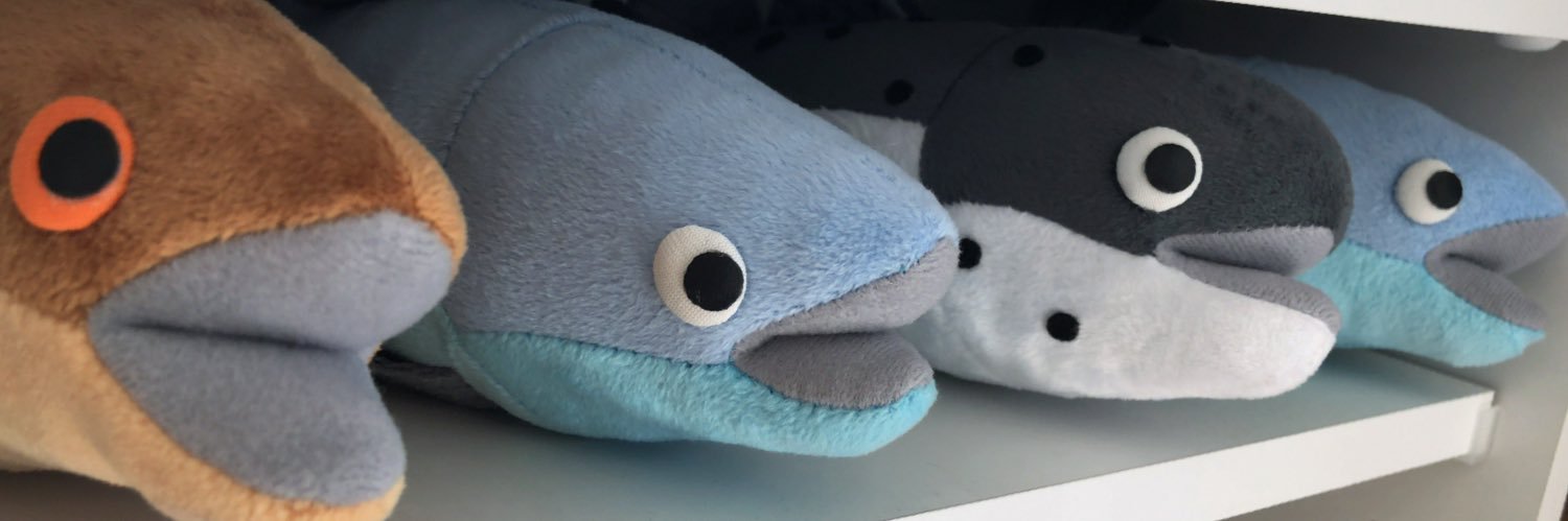 Hiroshi SHIBATA banner