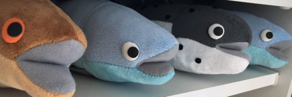 hsbt Profile Banner