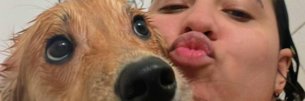 dinhaof's profile banner image