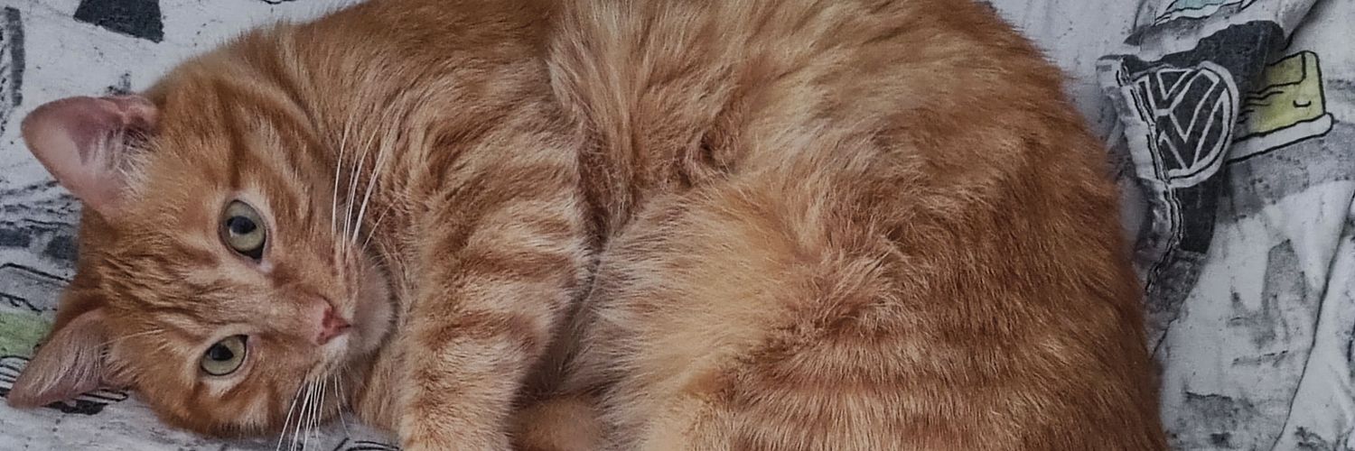ItsukaT2's profile banner image
