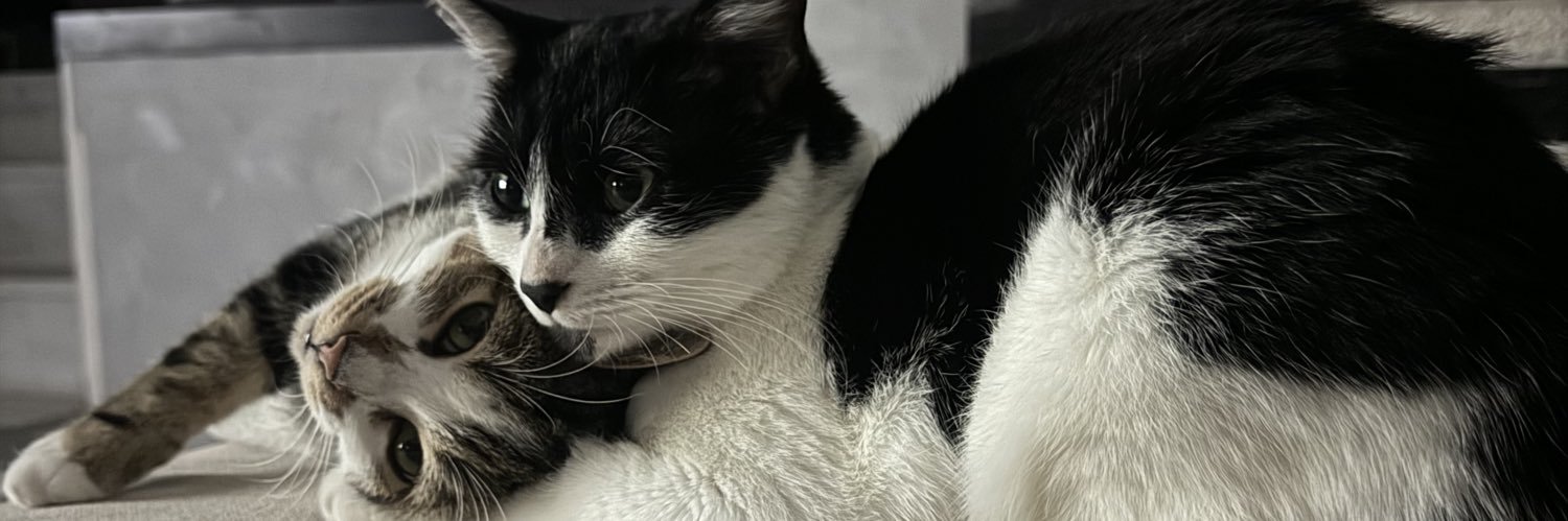 marieteoin's profile banner image