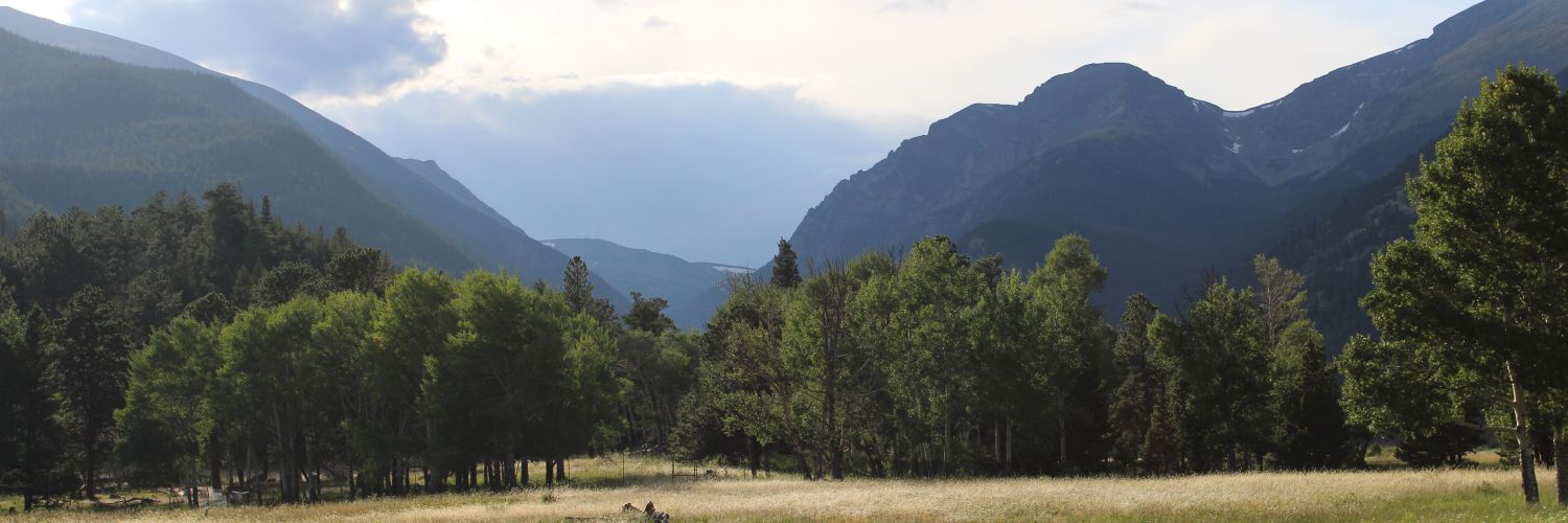 HaleyCBarry's profile banner image