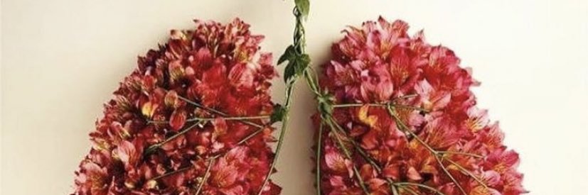 tulay_goncuoglu's profile banner image