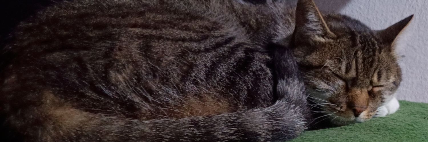 Rubãaaaao🍉 banner