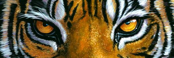 DemopolisHigh Profile Banner