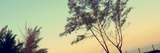 lulinha98's profile banner image