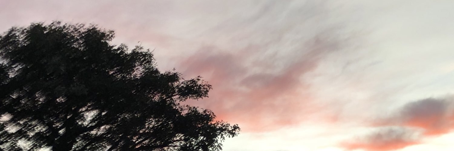 claracavall0's profile banner image