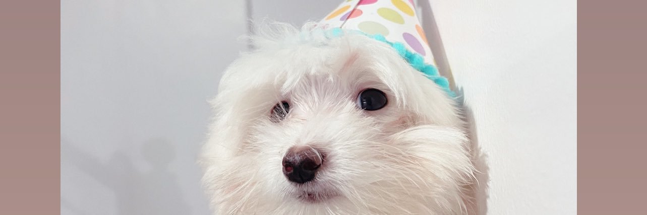 docariesss's profile banner image