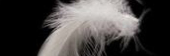 Robert Marcin banner