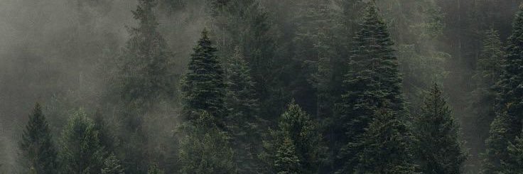 Morgsk4_'s profile banner image