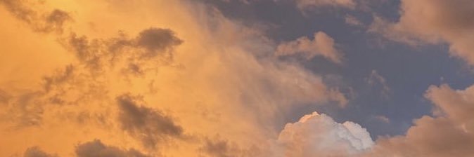 sheccidrd's profile banner image