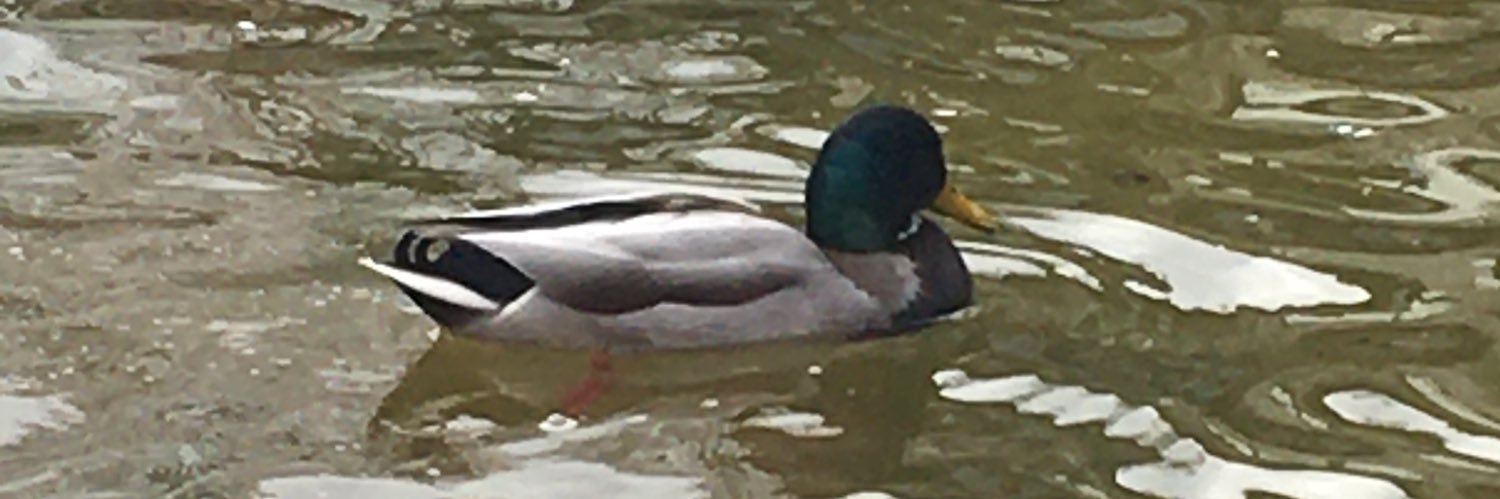 うま子ちゃん banner