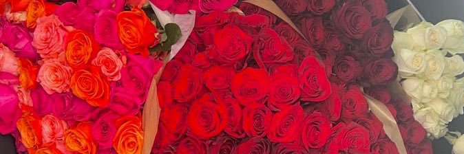 🌟 banner