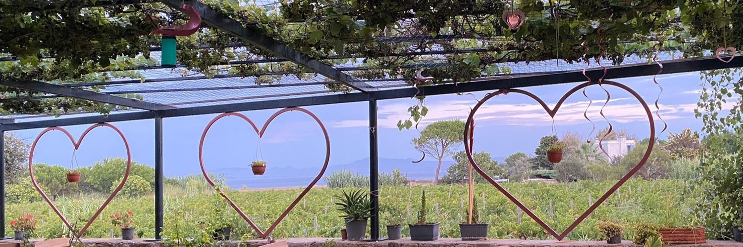 __shinesun__'s profile banner image