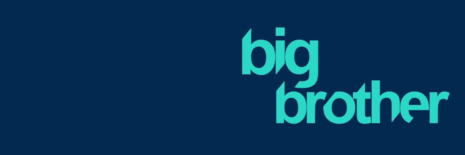Big Brother Zone banner