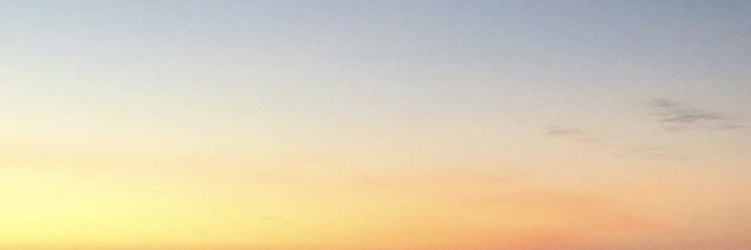 _larissadangelo's profile banner image