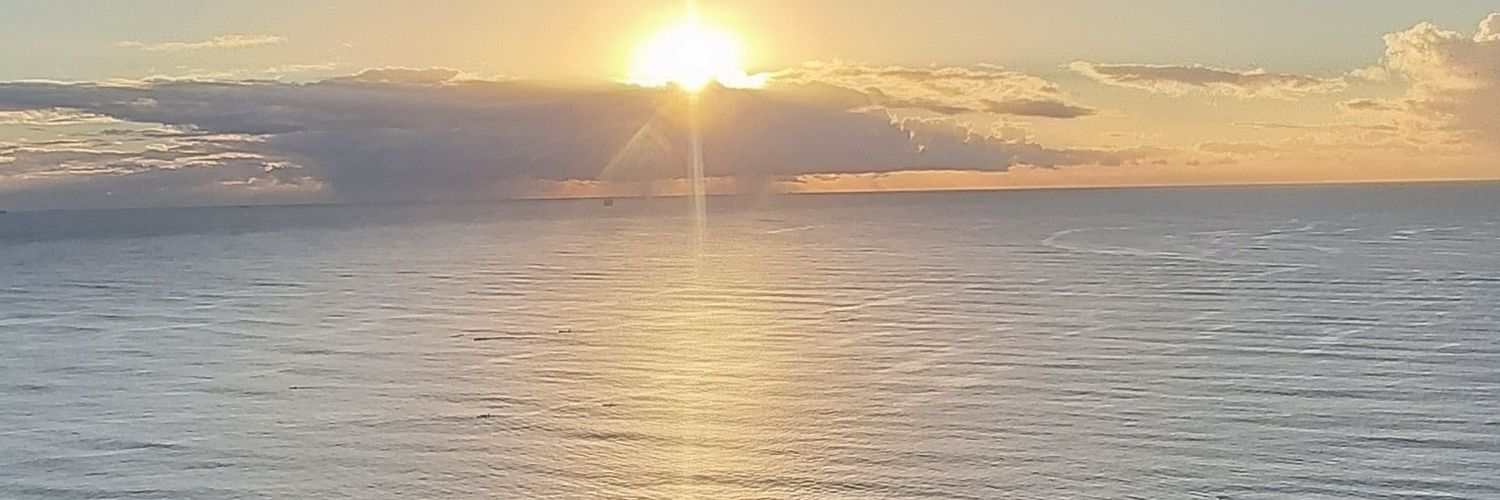 ltpfende's profile banner image