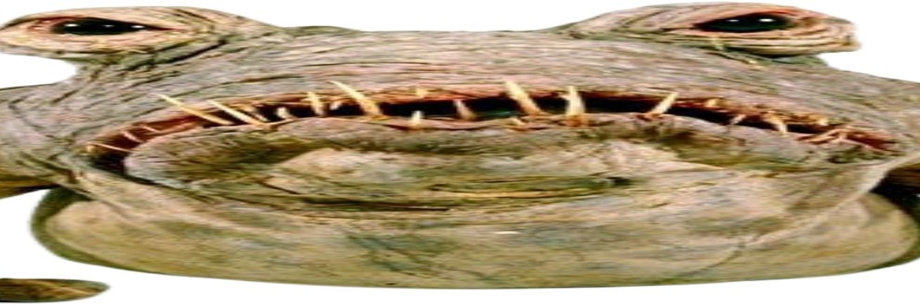 LackedRoom140's profile banner image