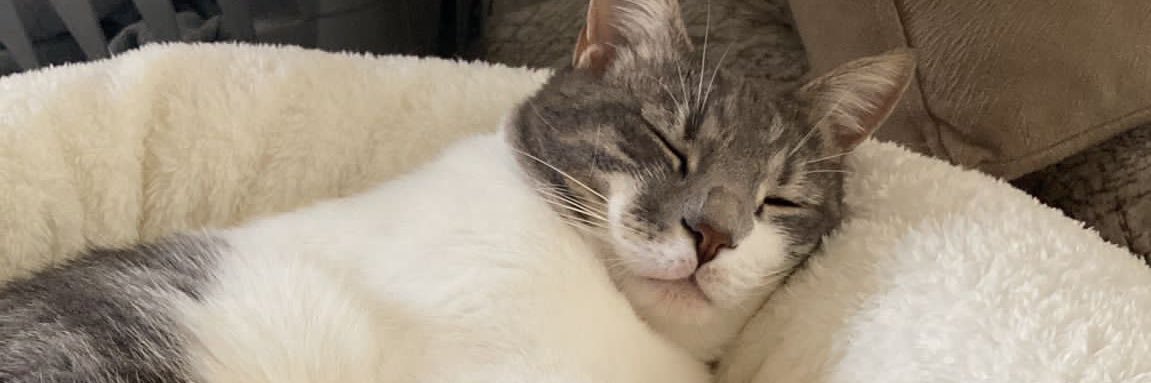 tugbakus_'s profile banner image