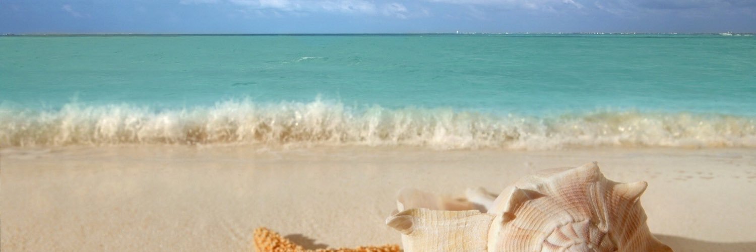 ChrisBridge2's profile banner image