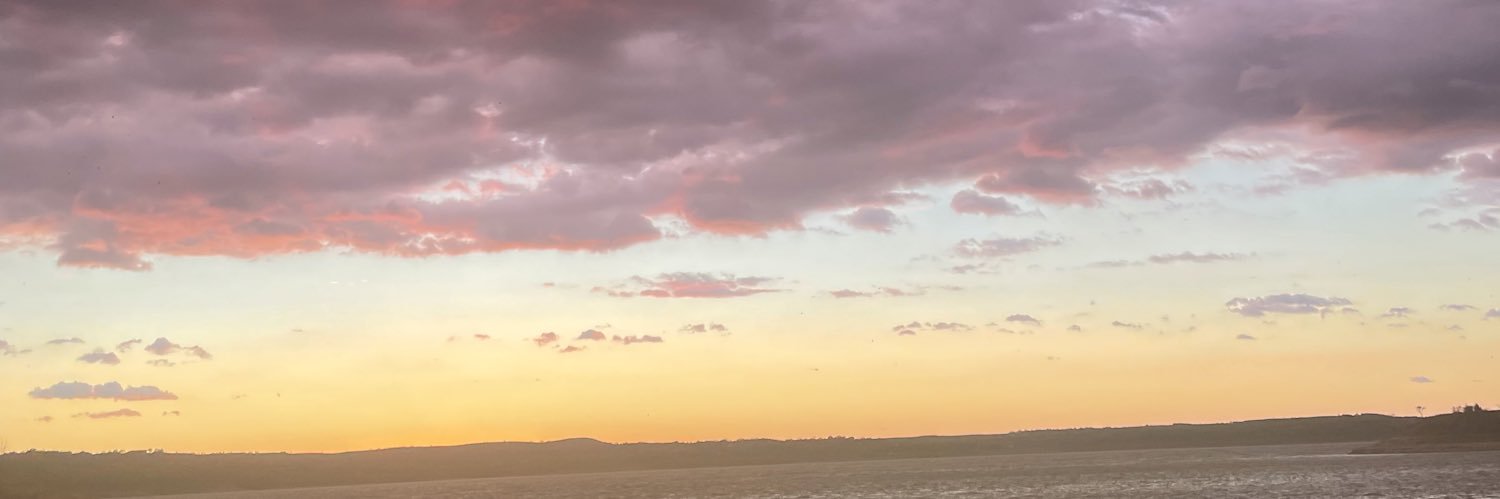 lindsey devreugd banner