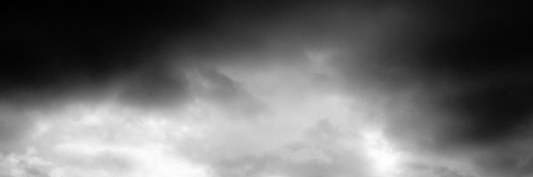 alexveitch Profile Banner