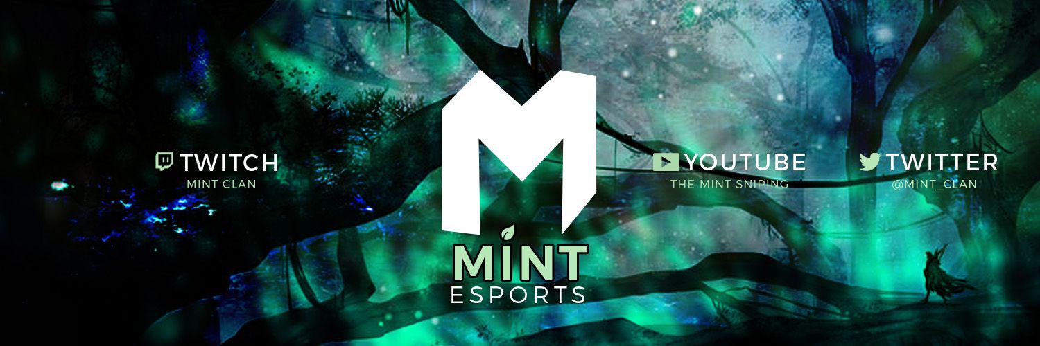 Mint Esports  banner